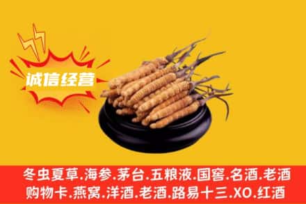 南充西充县回收冬虫夏草